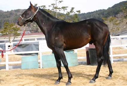 �ű⿹�� ����