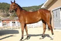 ������ (DODEULSAEM) ����