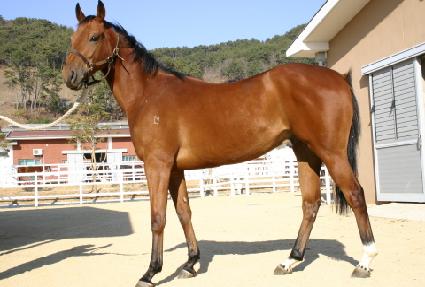 ������ ����