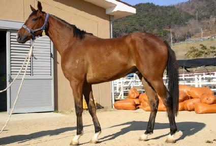 �������� ����