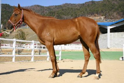 õ���� ����