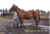 ���̿�ƽ (MYONTIC) ����