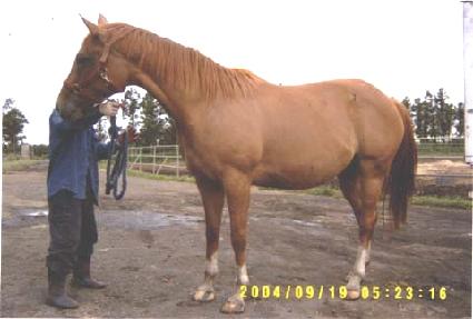 �������� ����