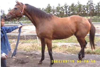 ����Ʈ ����