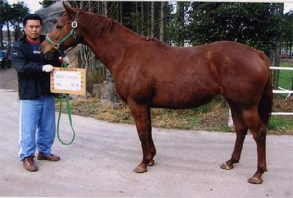 �����Ʈ�븮 ����