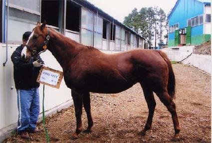 �Ž�Ƽ ����