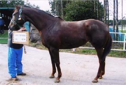 ��弱�� ����