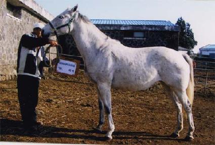 �ͽ�ü��¡�׷��� ����