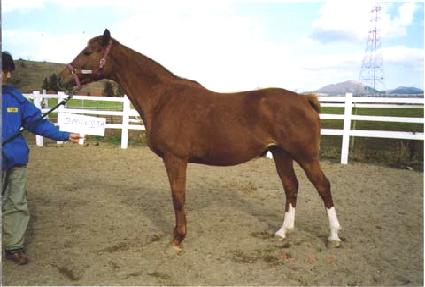 �������̸����� ����