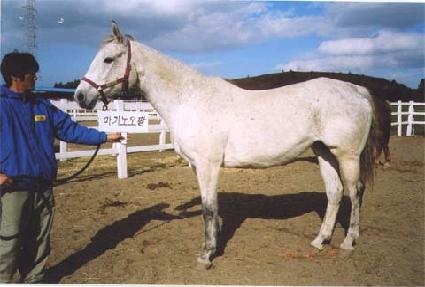 ��Ű����� ����