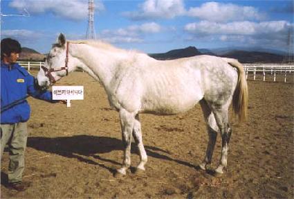 �̺�Ű���̸��� ����