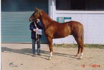 Ȳ�ݺ��ŷ� (HWANGGUMBITMAEREOK) ����