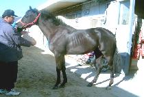 ��û�� (EUNCHEONGPA) ����