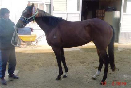 ī�ױ��� ����