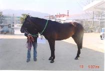 �̸�� (EMOTION) ����