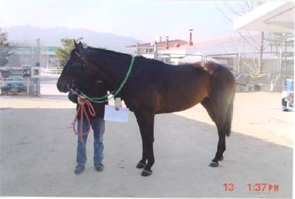 �̸�� ����