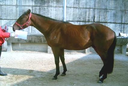 ���� ����