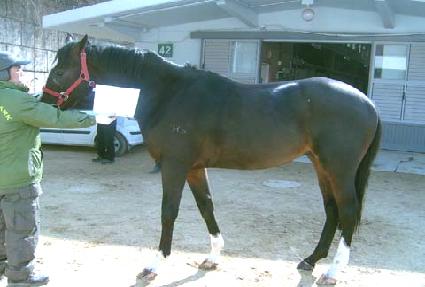 ������ ����