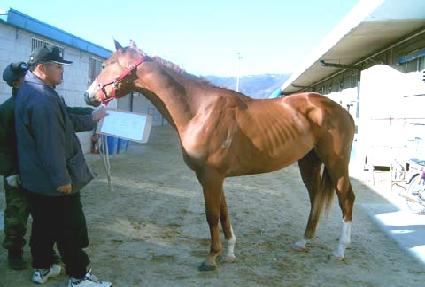 ���ŷ ����