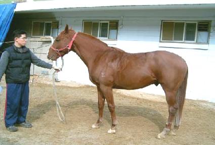 ���̹��� ����