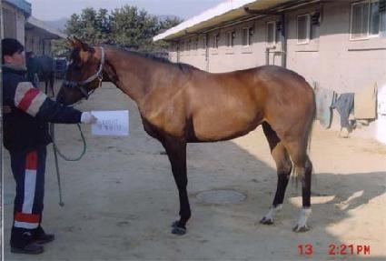 ���̾�� ����