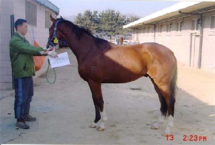 �Ŀ�����帲 ����