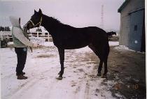 ���õ�� (HUIMANG CHEONSA) ����