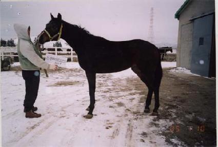 ���õ�� ����