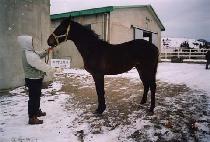 �ܼ�ö�� (DANSEO CHEOLGWON) ����