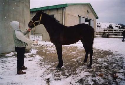 �ܼ�ö�� ����