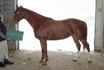 �������� (SUGAR LIPS) ����