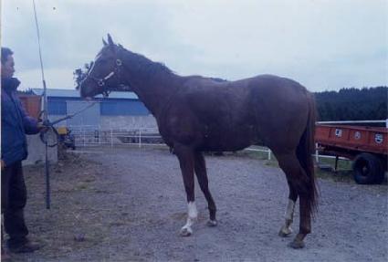 �����ÿ� ����