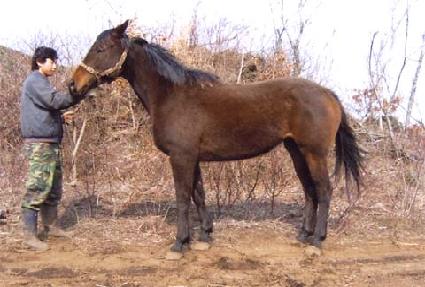 ���̾������ ����