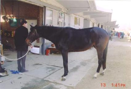 �������ϸ� ����