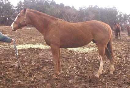 �Ŀ�Ǯ���� ����