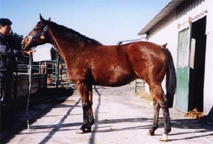 �̷�Ŭ�̾� ����