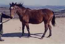 �Ӵ���������귳 (MONEY��S NO PROBLEM) ����