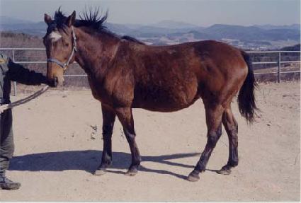 �Ӵ���������귳 ����