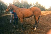 ����Ʈ����Ƽ (PERFECT EIGHTY) ����