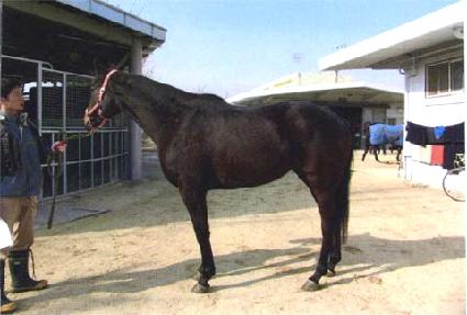 �ֻ� ����