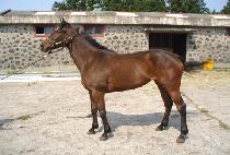 �����Ǻ� (JISANGEUI BYEOL) ����