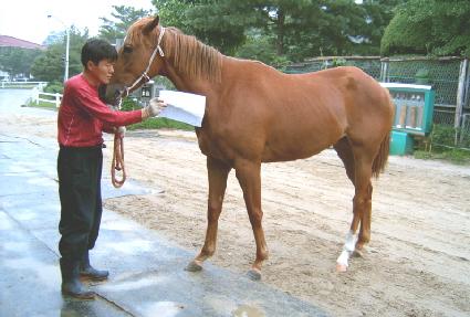 �ö����� ����