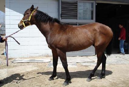 ��ȭ�ô� ����