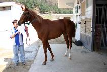 �ź��ǹ��� (SINBIUI MUJEOK) ����