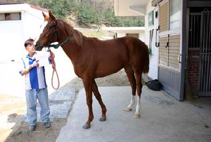 �ź��ǹ��� ����