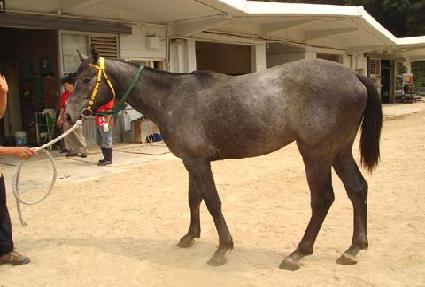 �׷��̿��� ����