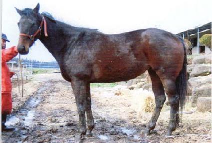 ���ٽ������� ����