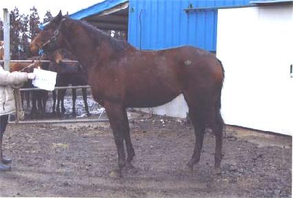 Ŭ������ ����