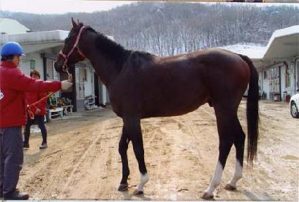 ���ͥ� ����