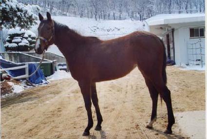 �׸��̺�Ʈ ����